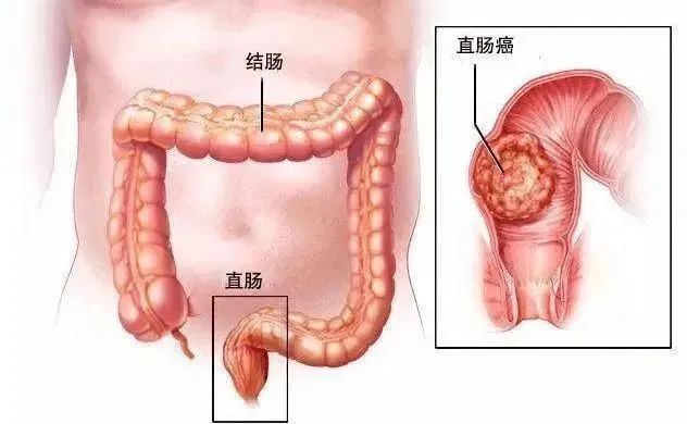 微信圖片_20250320145048.jpg